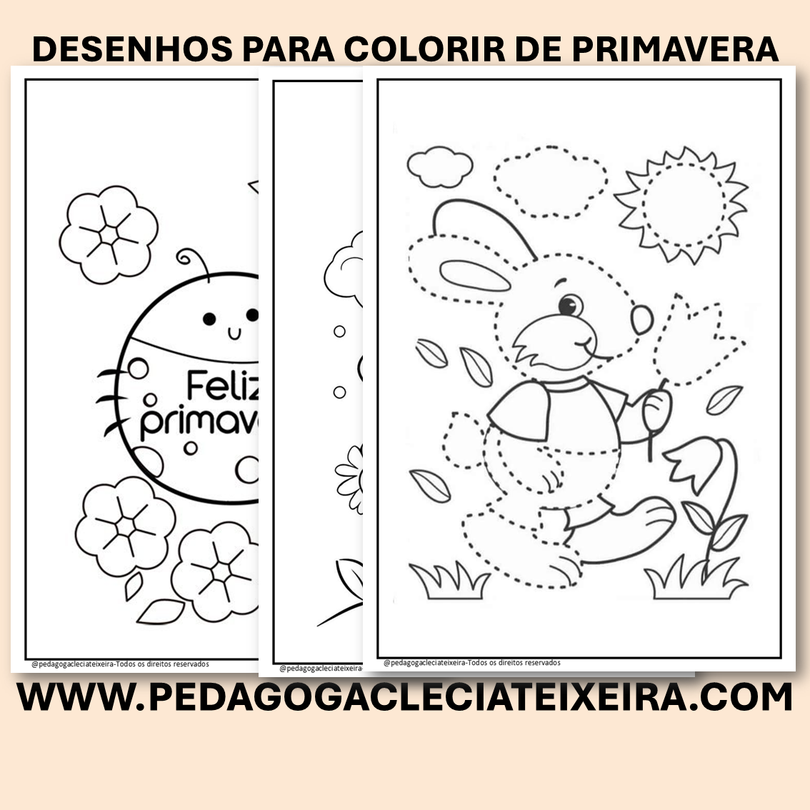 Desenhos para Colorir de Primavera