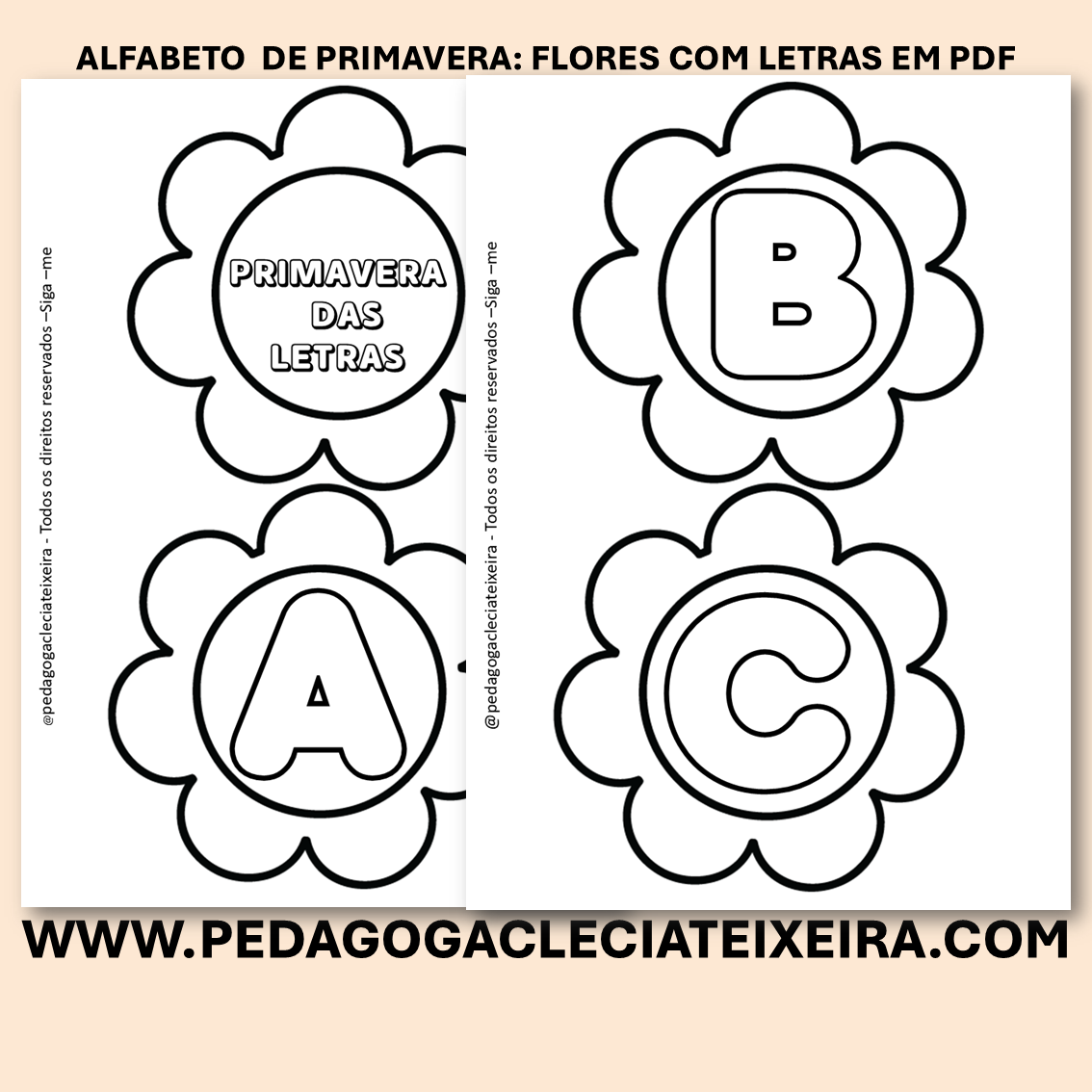 Alfabeto de primavera: flores com letras Em PDF