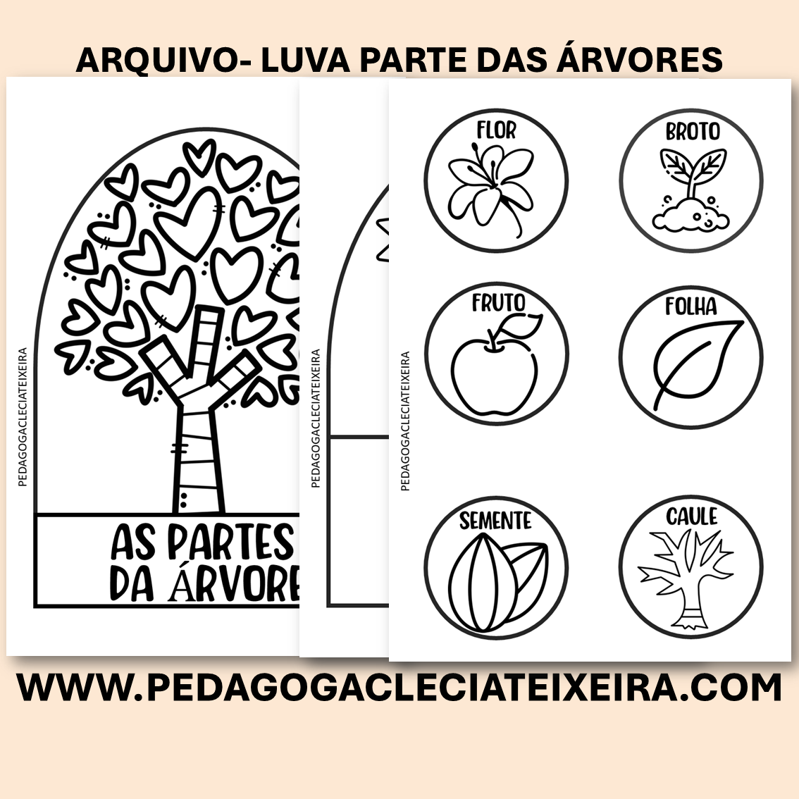 Arquivo-luva partes das árvores