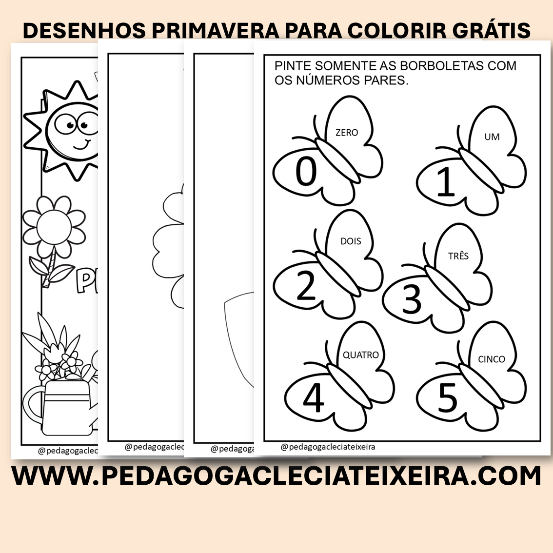 Desenhos primavera para colorir grátis