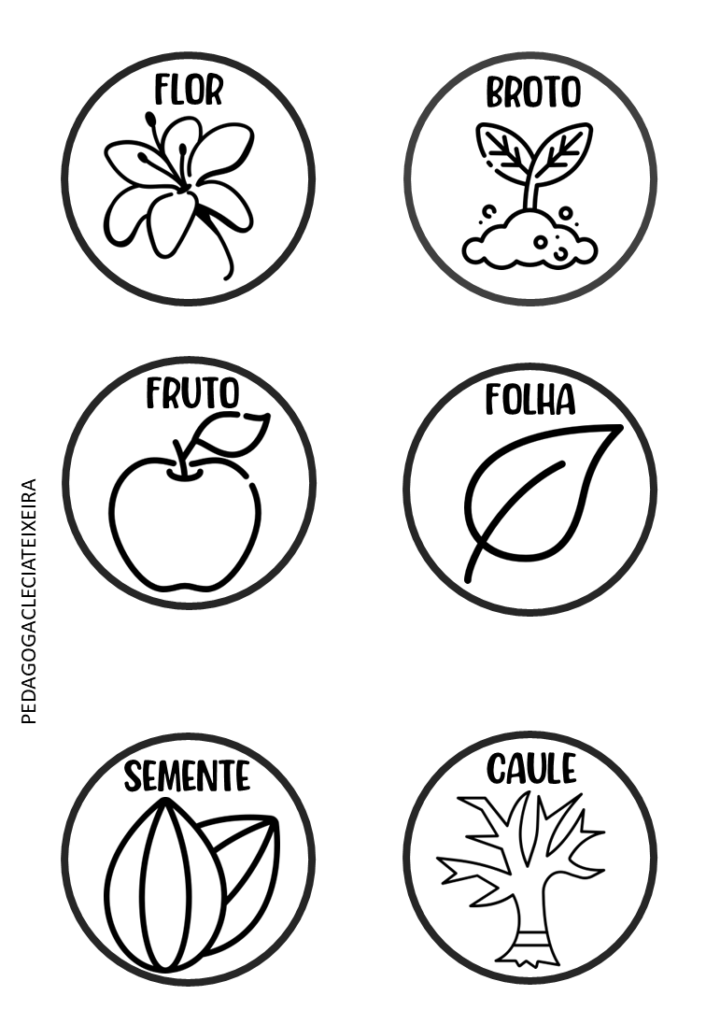 Arquivo-luva partes da árvores