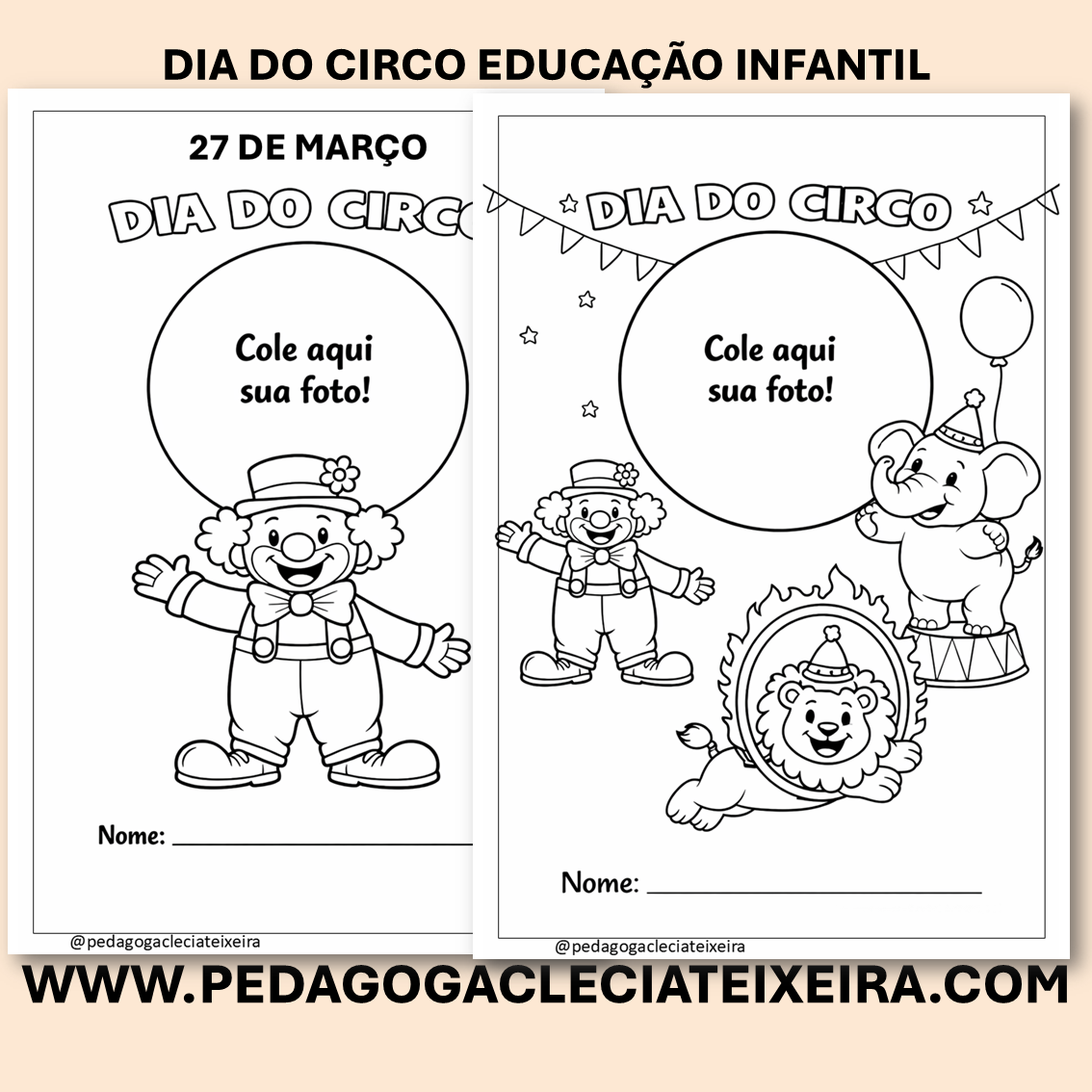 Dia do circo educação infantil