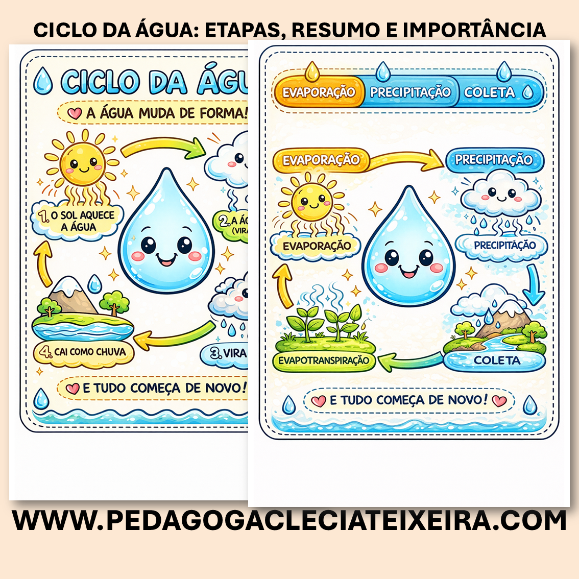 Ciclo da água: etapas, resumo e importância