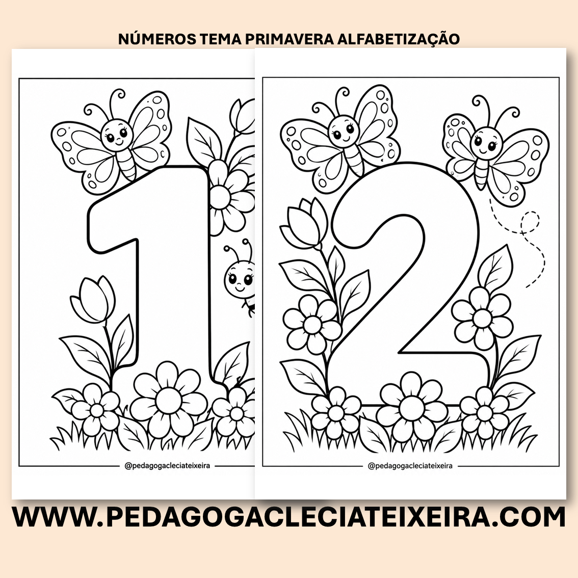 Números tema primavera alfabetização